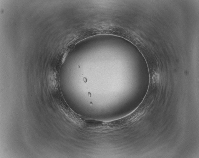 X0000070381156200606121245