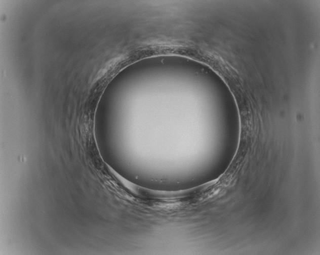 X0000070381157200606121245