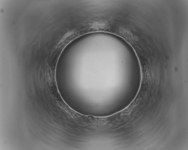 X0000070381158200606121245