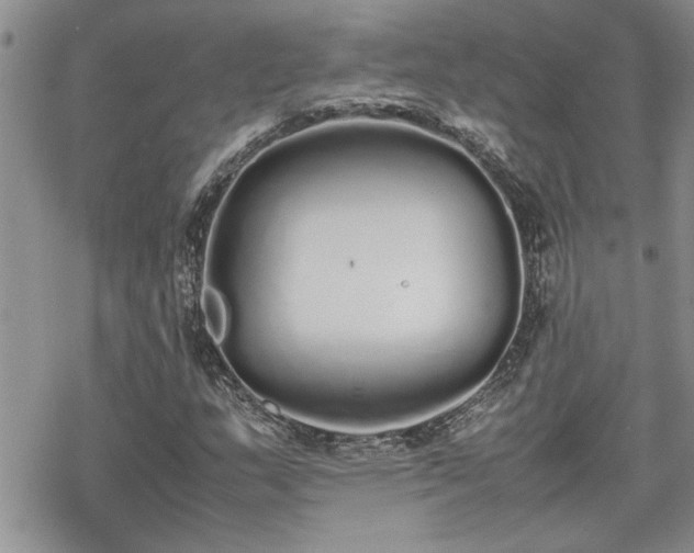 X0000070381159200606121245