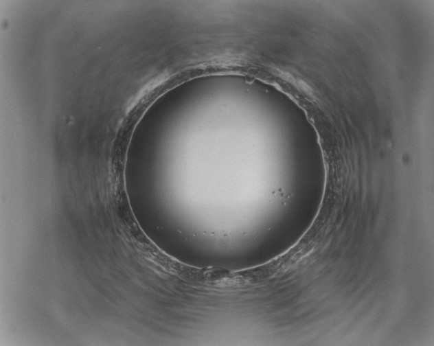 X0000070381160200606121245