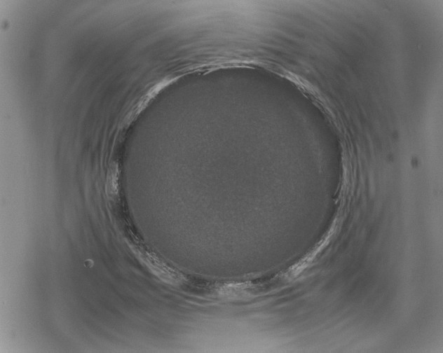 X0000070381161200606121245