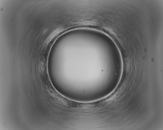 X0000070381163200606121245