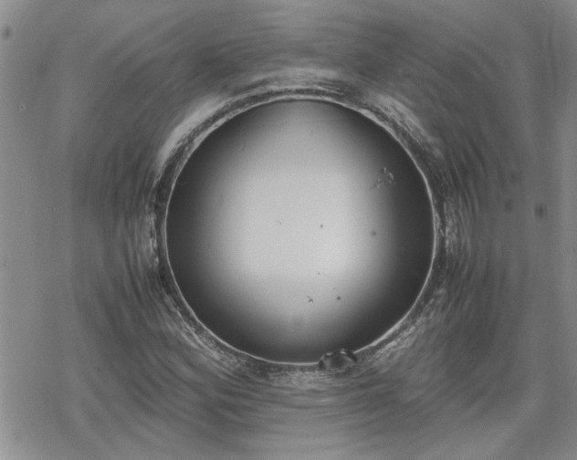 X0000070381164200606121245