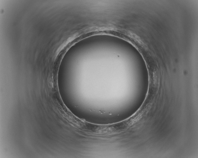 X0000070381165200606121245