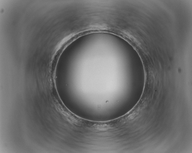 X0000070381168200606121245