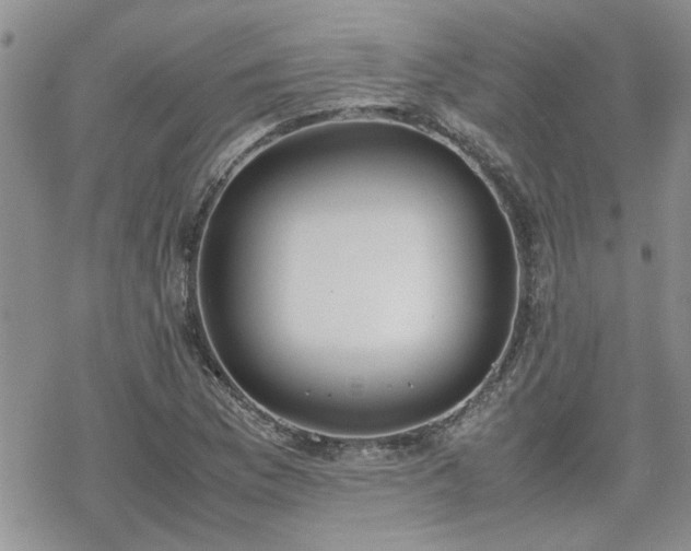 X0000070381169200606121245