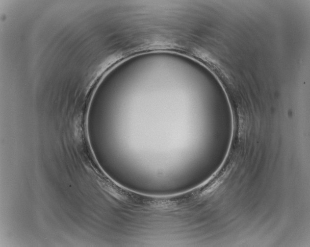 X0000070381170200606121245