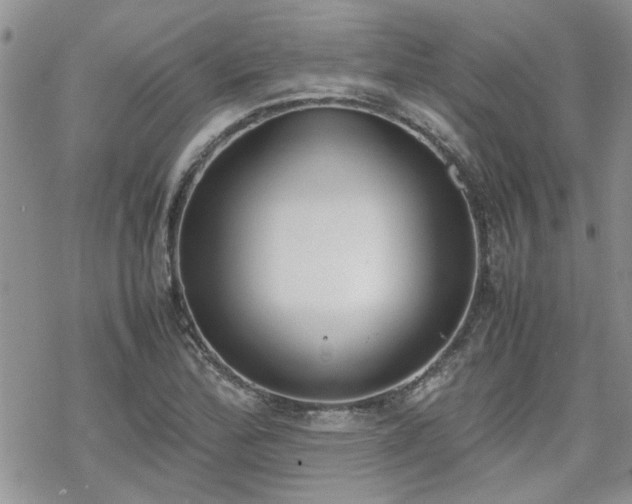 X0000070381172200606121245