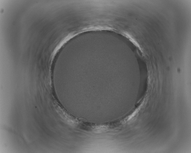 X0000070381173200606121245