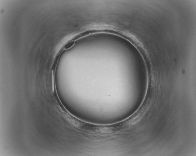 X0000070381175200606121245