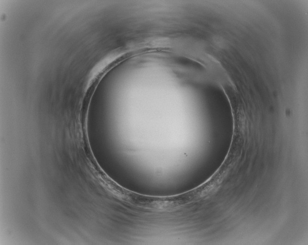 X0000070381176200606121245