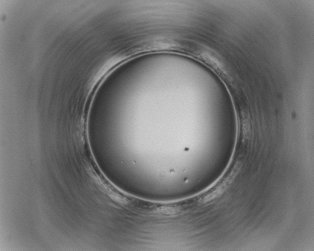 X0000070381178200606121245