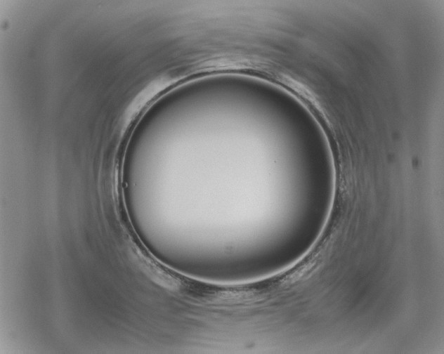 X0000070381179200606121245