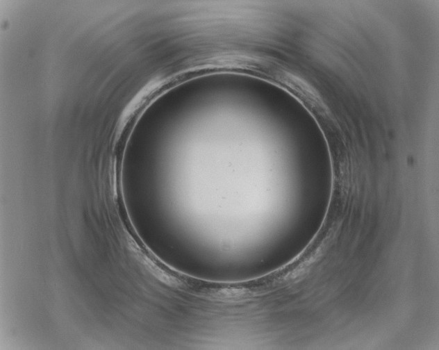 X0000070381180200606121245