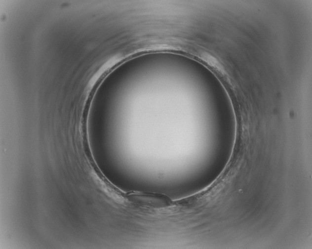 X0000070381181200606121245