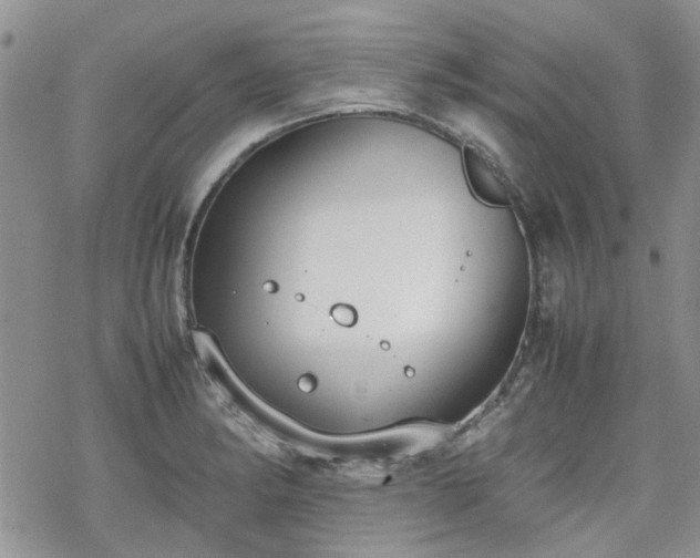 X0000070381182200606121245