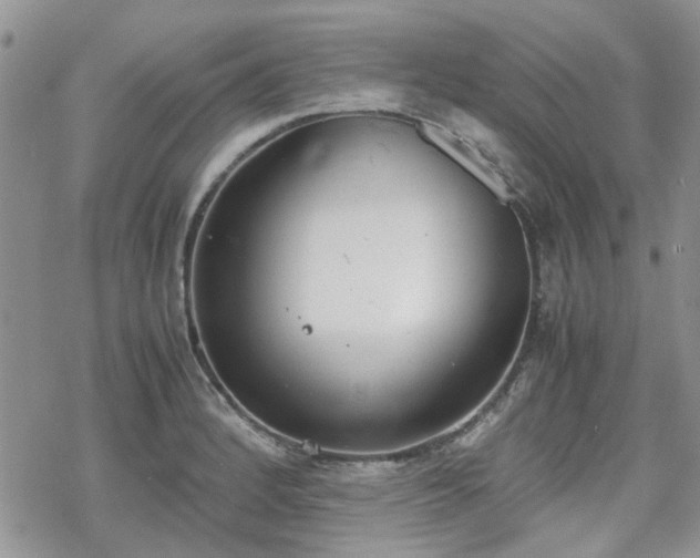 X0000070381184200606121245