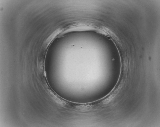 X0000070381185200606121245