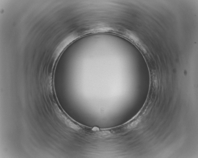 X0000070381186200606121245