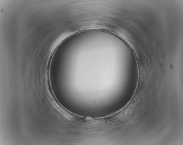 X0000070381187200606121245