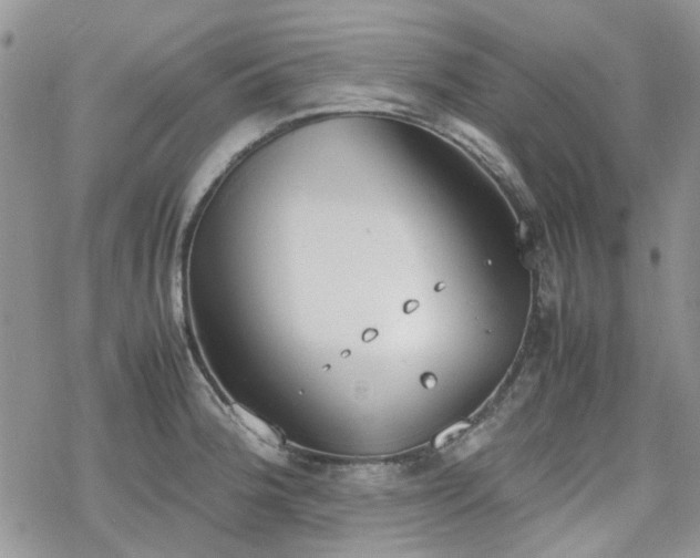 X0000070381188200606121245