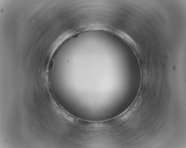 X0000070381190200606121245