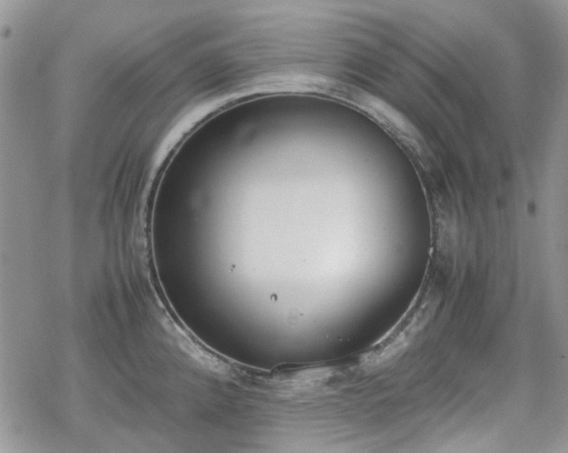 X0000070381192200606121245