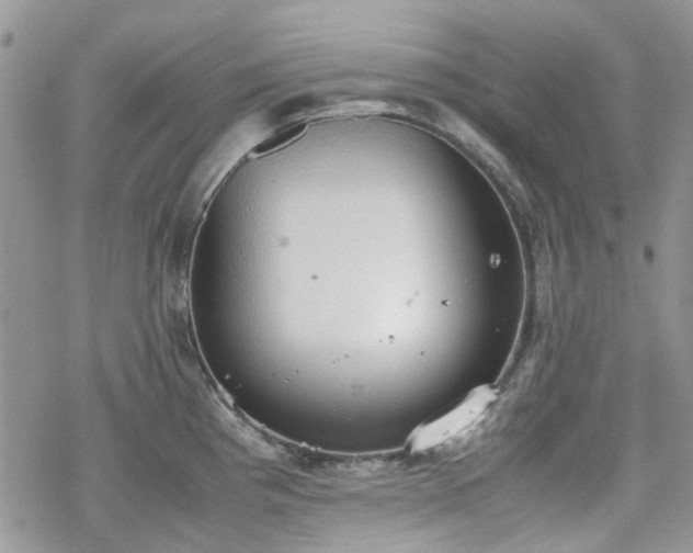 X0000070381193200606121245