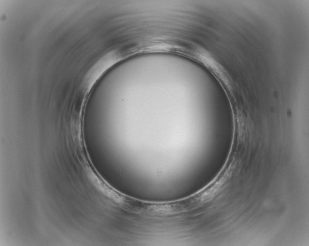 X0000070381194200606121245