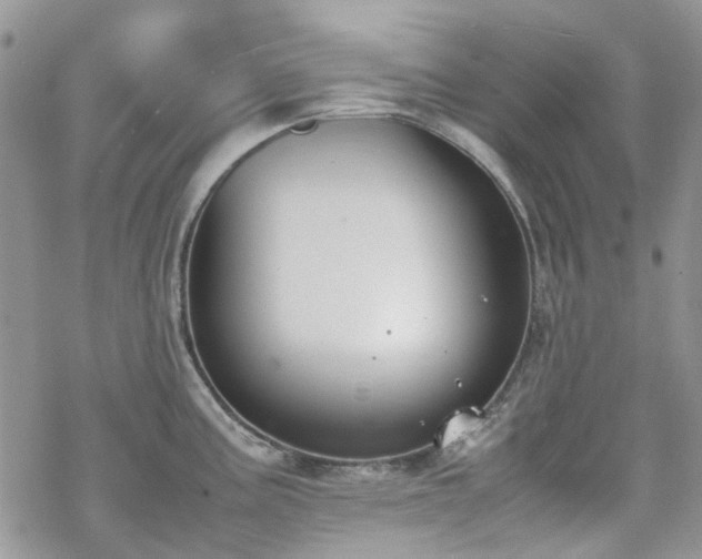 X0000070381195200606121245