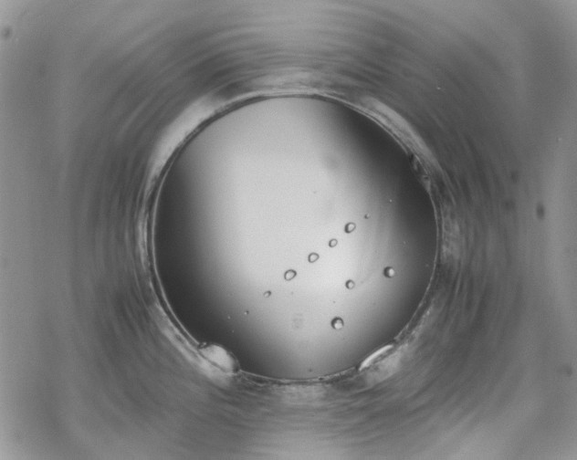 X0000070381196200606121245