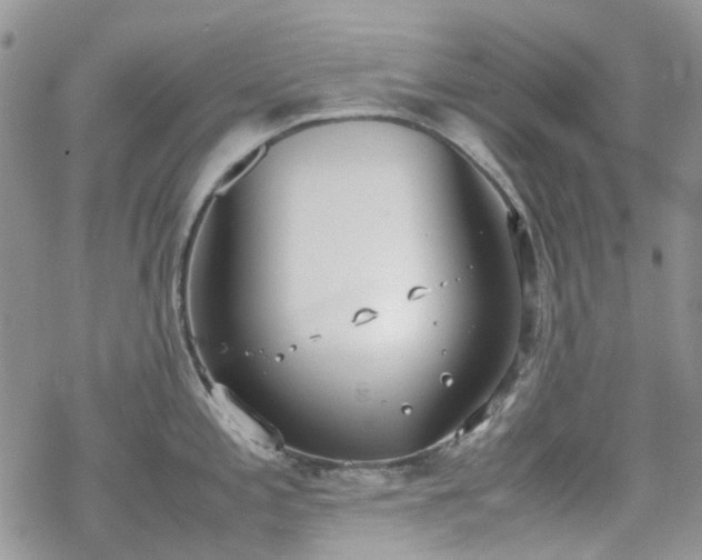 X0000070381197200606121245