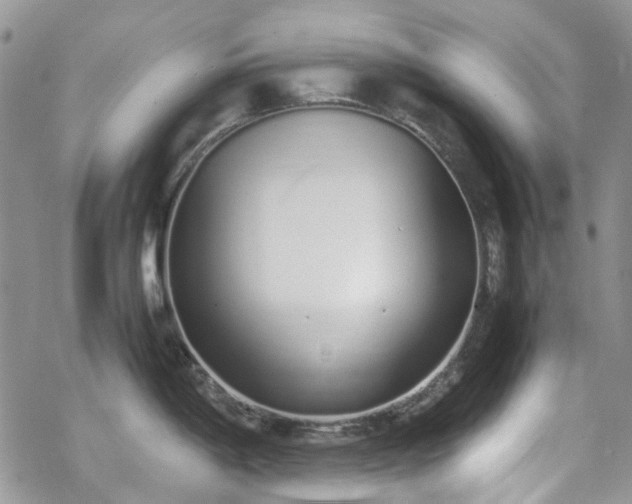 X0000070381198200606121245