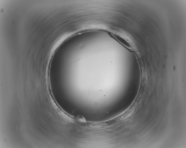 X0000070381199200606121245