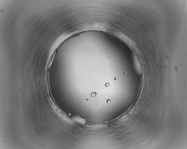 X0000070381200200606121245