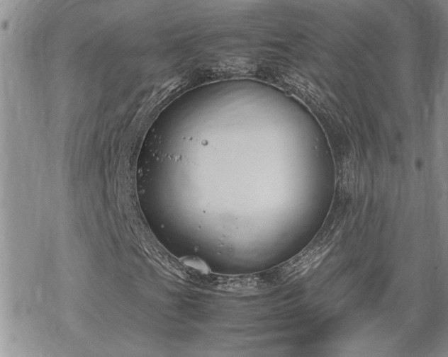 X0000070381201200606121244