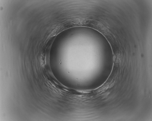 X0000070381202200606121244