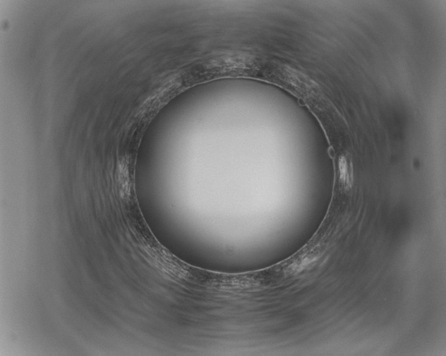 X0000070381203200606121244