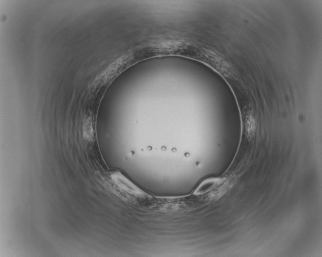 X0000070381204200606121244