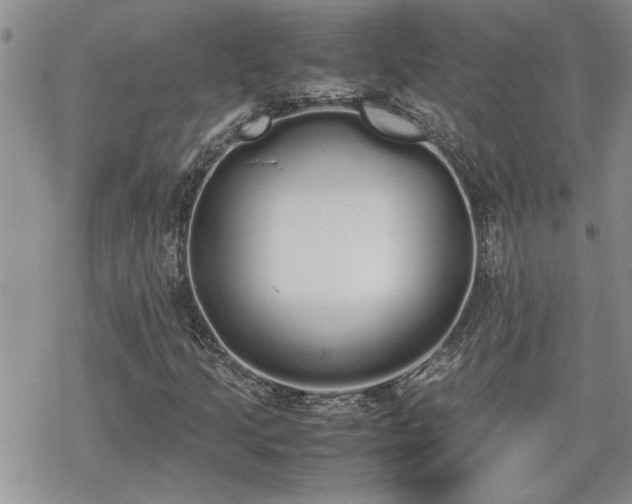 X0000070381205200606121244