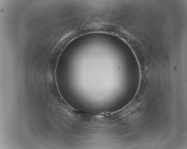 X0000070381206200606121244