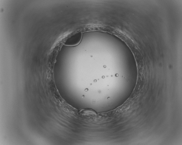 X0000070381207200606121244