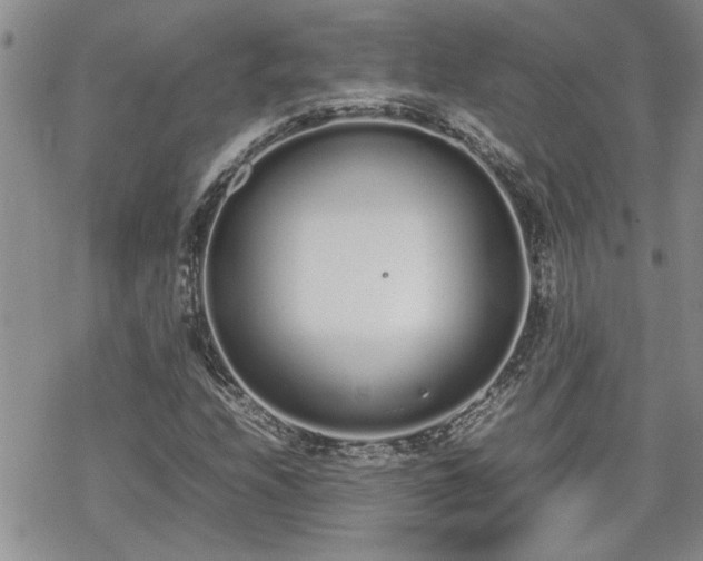 X0000070381208200606121244