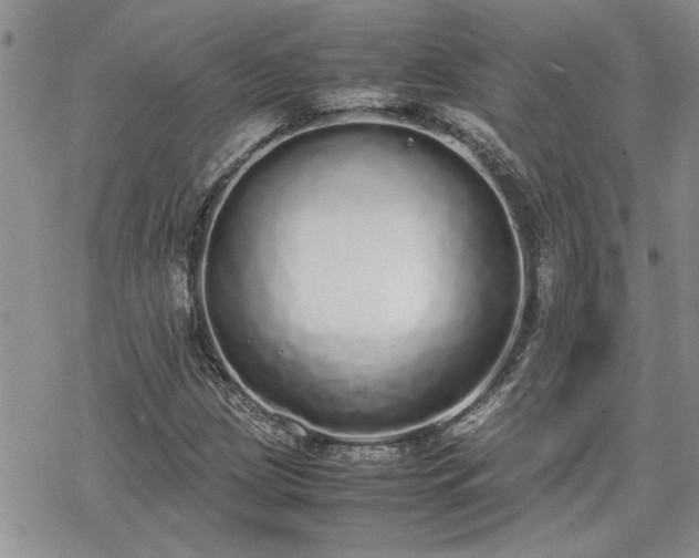 X0000070381209200606121244