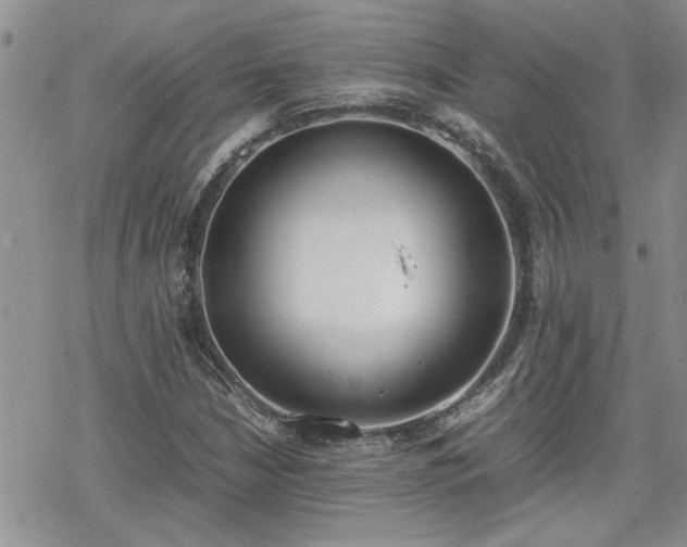 X0000070381210200606121244