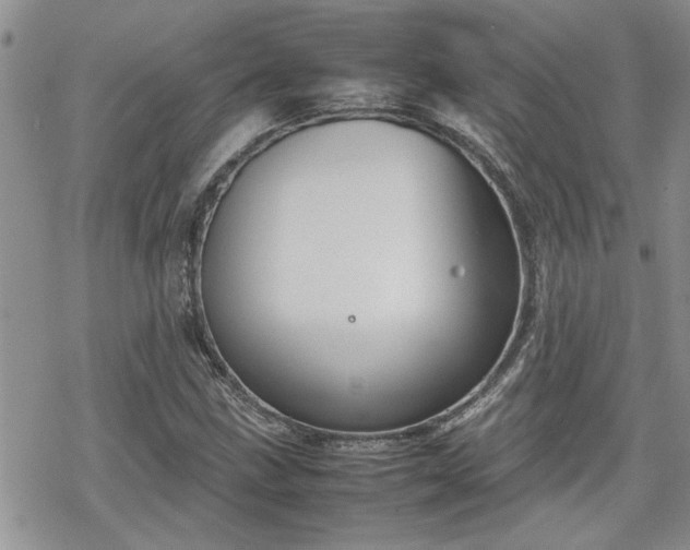 X0000070381211200606121244