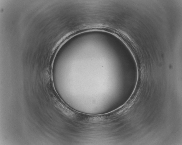 X0000070381212200606121244