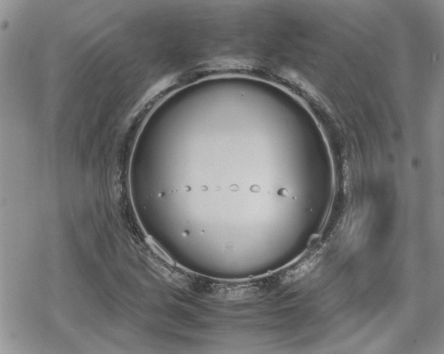 X0000070381213200606121244