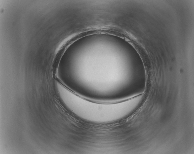 X0000070381214200606121244